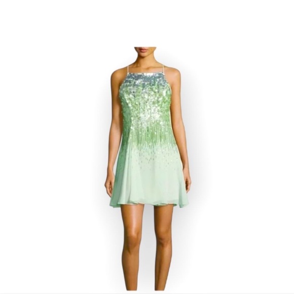 Stunning Halston Heritage dress! Size 4! - Picture 2 of 7